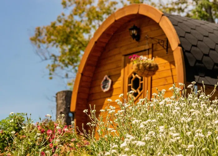 Marlborough Wine Barrel Cabins
