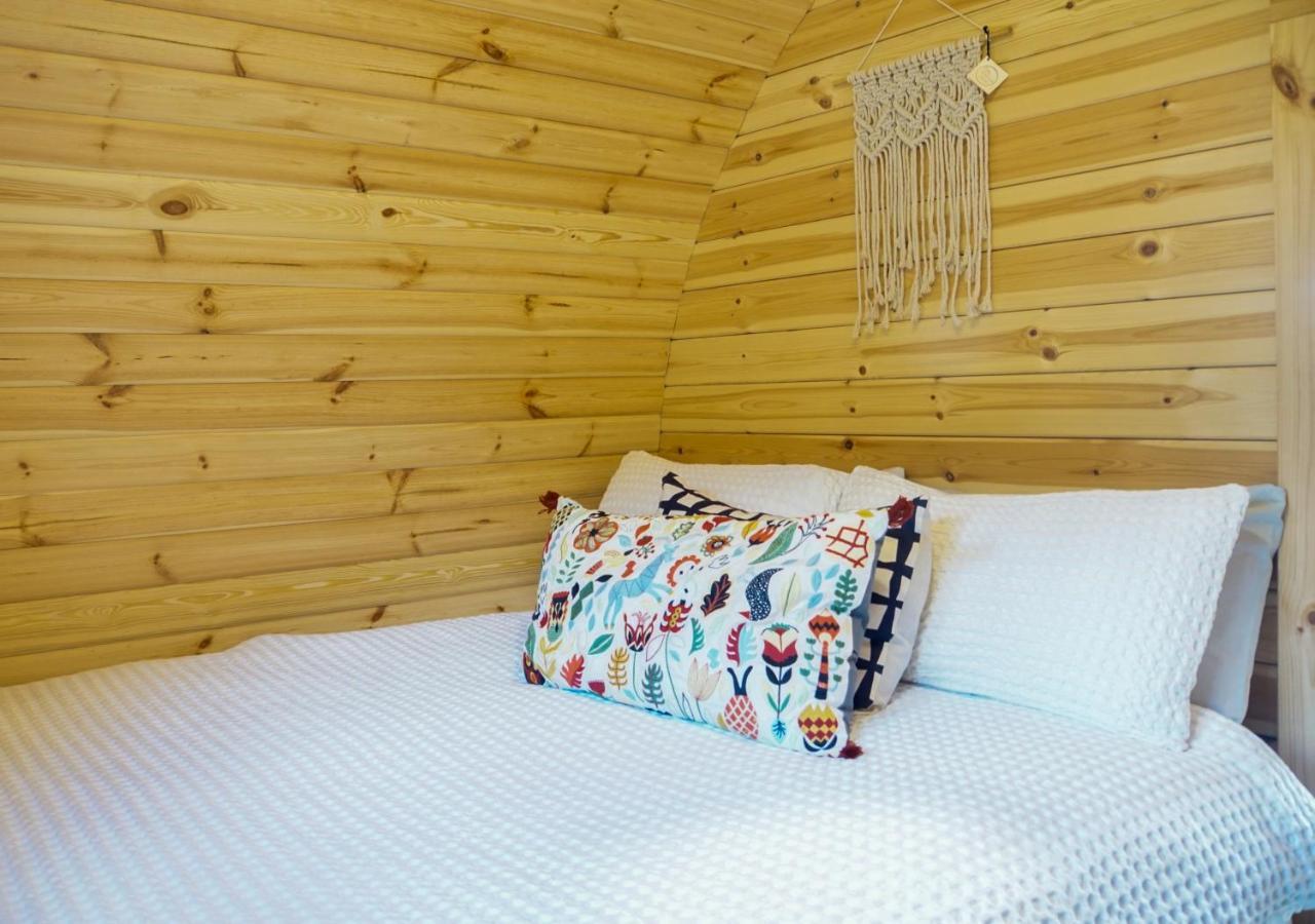 Guest house Marlborough Wine Barrel Blenheim