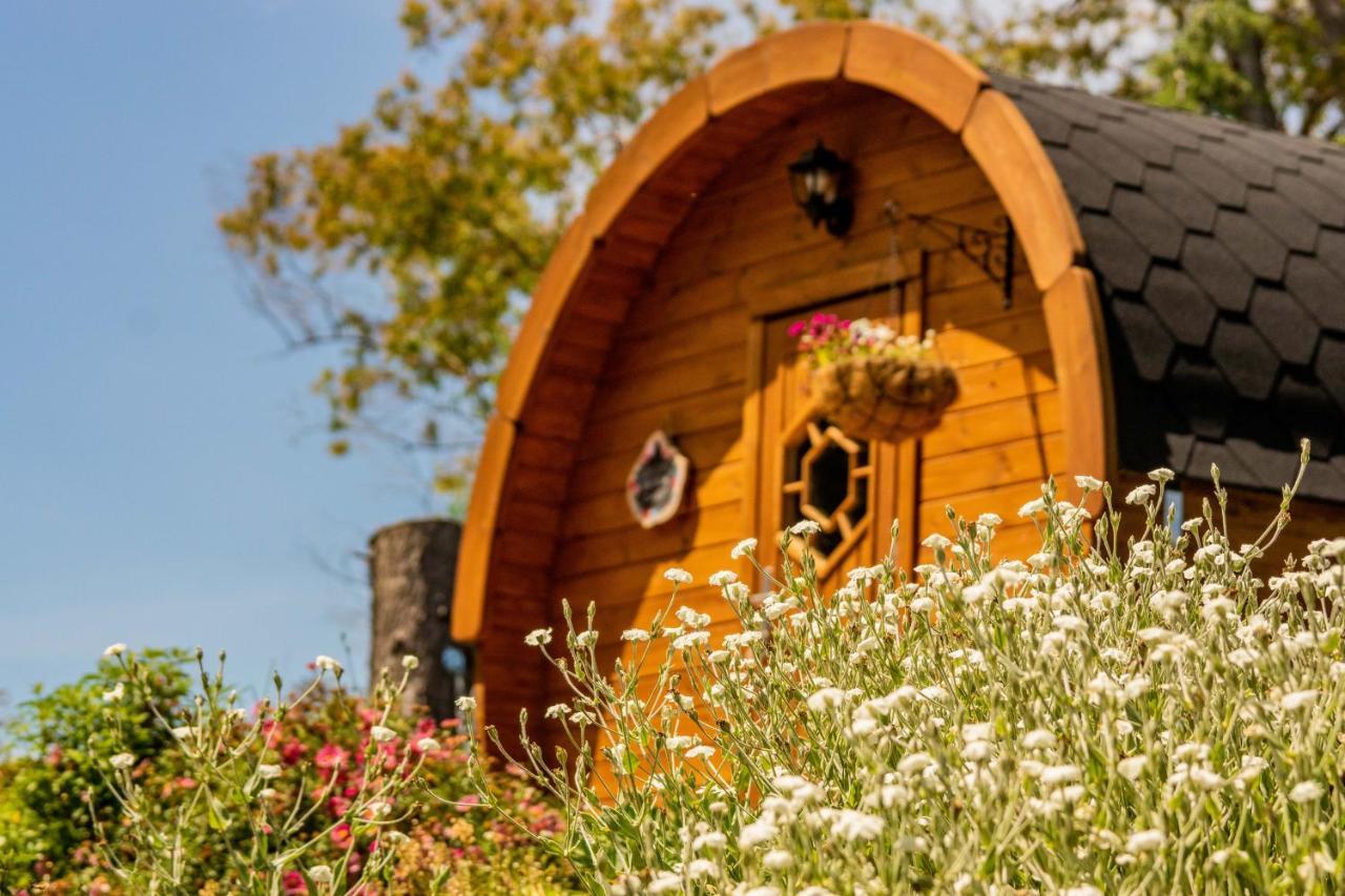 Marlborough Wine Barrel Guest house Blenheim